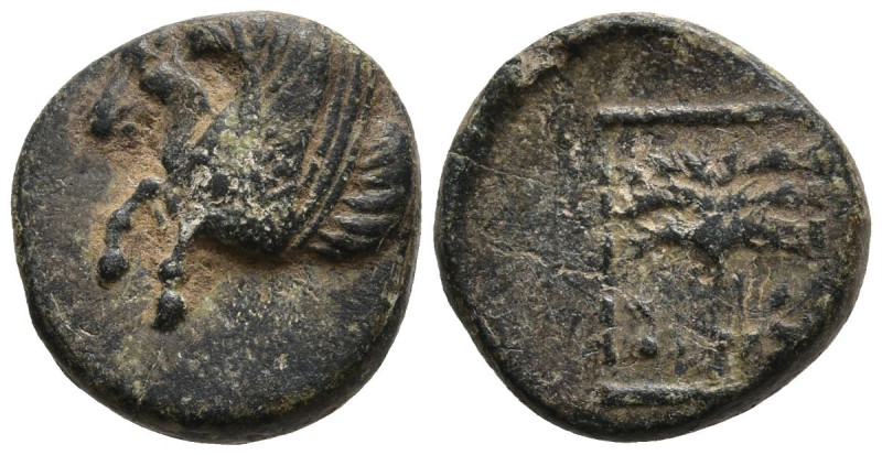 TROAS. Skepsis (Circa 400-310 BC)
AE Bronze (11mm 1.27g)
Obv: Rhyton with fore...