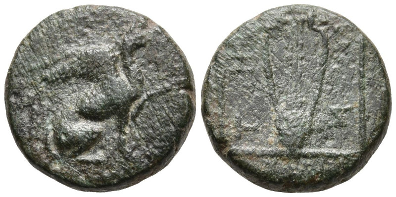 IONIA. Teos. (Circa 210-190 BC).
AE Bronze (16.8mm 1.95g)
Obv: Griffin seated ...