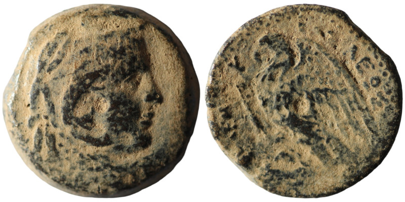 PTOLEMAIC KINGS OF EGYPT. Ptolemy II Philadelphos (285-246 BC). Alexandria
AE Br...