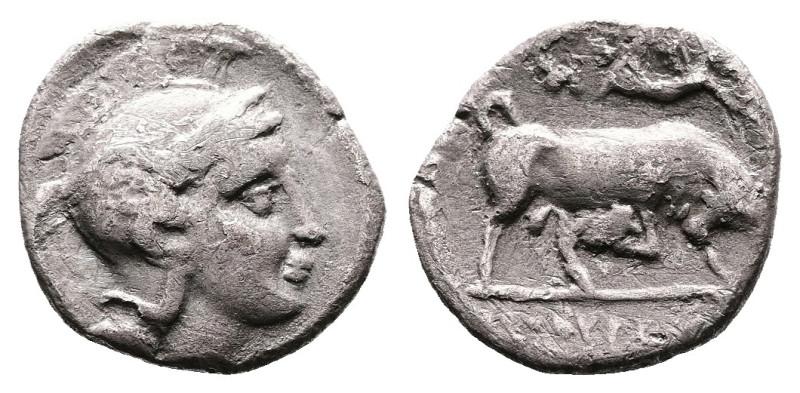 Thurioi, Lucania, circa 350-300 BC. AR Diobol (12 mm, 0,89 g.). Helmeted head of...