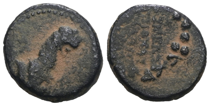 Greek uncertain AE. Artificial sandpatina. Weight 3,38 gr - Diameter 13 mm.