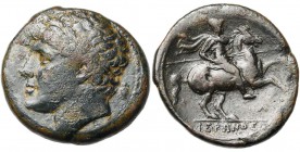 SICILE, SYRACUSE, Hiéron II (275-216), AE bronze. D/ T. l. à g. A d., amphore. R/ Cavalier au galop à d. En dessous, A. A l''ex., IEPΩΝΟΣ. SNG ANS 916...