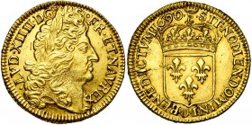 FRANCE, Royaume, Louis XIV (1643-1715), AV double louis d''or à l''écu, 1690S couronné, Troyes. Flan neuf. Tranche cordonnée. D/ T. à d., coiffée d''u...