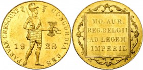 NEDERLAND, Koninkrijk, Wilhelmina (1890-1948), AV dukaat, 1928. Sch. 779; Fr. 352.
Prachtig à Fleur de Coin