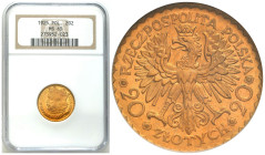 Poland II Republic - Circulation coins
II RP 20 zlotych 1925 Bolesław Chrobry NGC MS65 - PIĘKNE 

Typ monety coraz bardziej doceniany przez kolekcj...