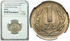 PROBE coins Poland after 1945
POLSKA / POLAND / POLEN / PROBA / PATTERN

PRL. PROBA / PATTERN 1 zloty 1949 miedzionikiel NGC MS67 (2MAX) - RZADKI ...