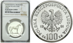 Polish coins of the PRL and collector coins from 1949-1989
PRL. 100 zlotych 1981 Koń, NGC PF68 ULTRA CAMEO 

Wyśmienity, piękny egzemplarz w wysoką...