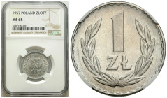 Polish coins of the PRL and collector coins from 1949-1989
PRL. 1 zloty 1957 Aluminium NGC MS65 – NAJRZADSZA ZŁOTÓWKA 

Najrzadszy rocznik obiegowe...