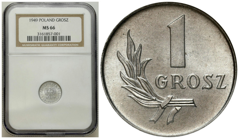 Polish coins of the PRL and collector coins from 1949-1989
PRL. 1 Grosz 1949 NG...