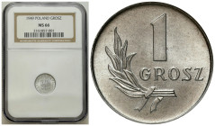 Polish coins of the PRL and collector coins from 1949-1989
PRL. 1 Grosz 1949 NGC MS66 – WYŚMIENITY 

Doskonale zachowana moneta.

Details: Al 
C...