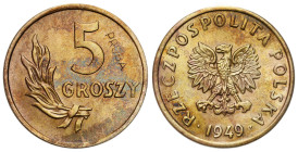 PROBE coins Poland after 1945
POLSKA / POLAND / POLEN / II RP / PROBA / PATTERN

PRL. PROBE / PATTERN brass 5 groszy 1949 - MINTAGE 100 pieces 

...
