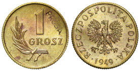 PROBE coins Poland after 1945
POLSKA / POLAND / POLEN / II RP / PROBA / PATTERN

PRL. PROBE / PATTERN brass 1 grosz 1949 - MINTAGE 100 pieces 

B...