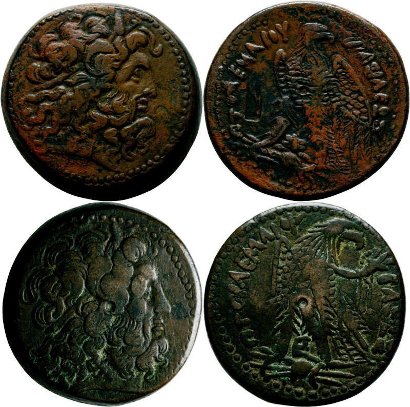 Ägypten - Ptolemäer: Königreich der Ptolemäer: Lot 2 Stück, Bronze 37,5 mm, 42,3...