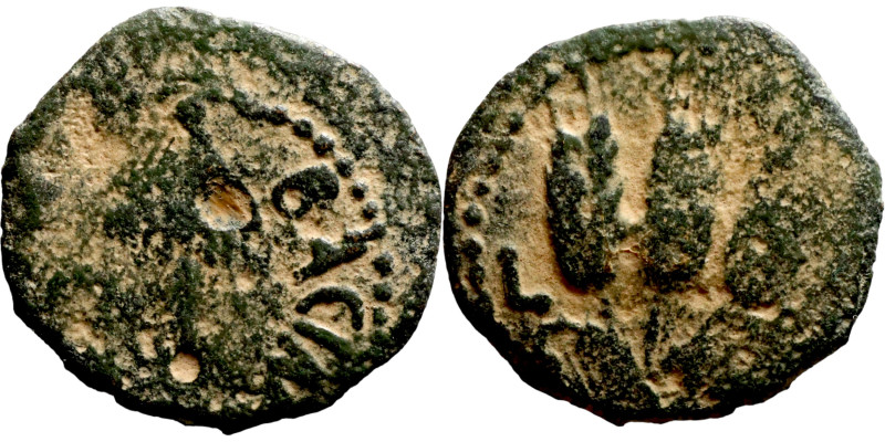 Judaean coin

14mm 1,49g

Artificial sand patina