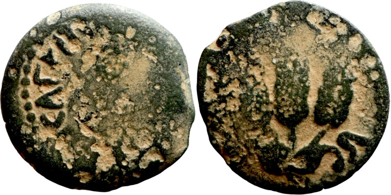 Judaean coin

17mm 2,44g

Artificial sand patina