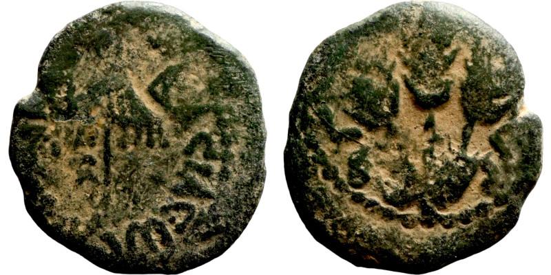 Judaean coin

16mm 1,90g

Artificial sand patina