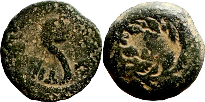 Judaean coin

15mm 2,70g

Artificial sand patina