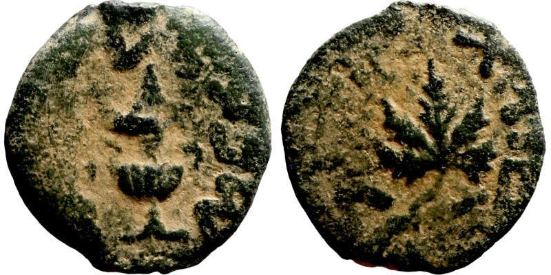 Judaean coin

16mm 1,91g

Artificial sand patina