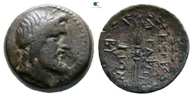 Seleucis and Pieria. Seleukeia Pieria circa 200-0 BC. Adelphoi Demi issue. Bronze Æ