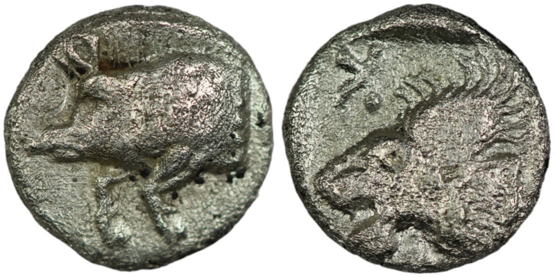 MYSIA. Kyzikos. (Circa 450-400 BC)
AR Hemiobol (7mm, 0,32g)