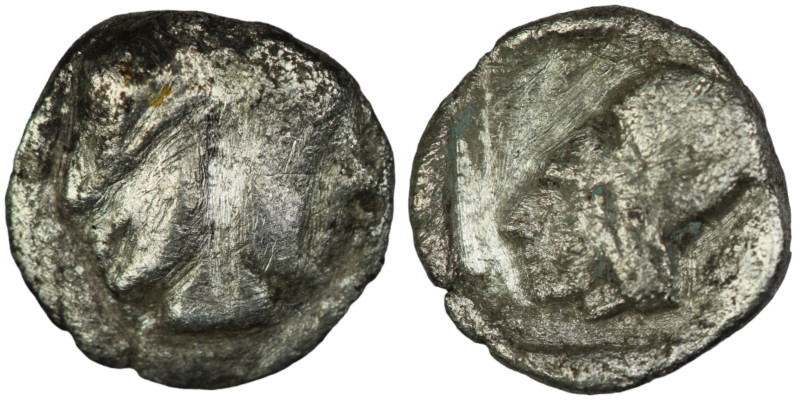 MYSIA. Lampsakos. (500-450 century BC).
AR Obol (10mm, 0,66g)