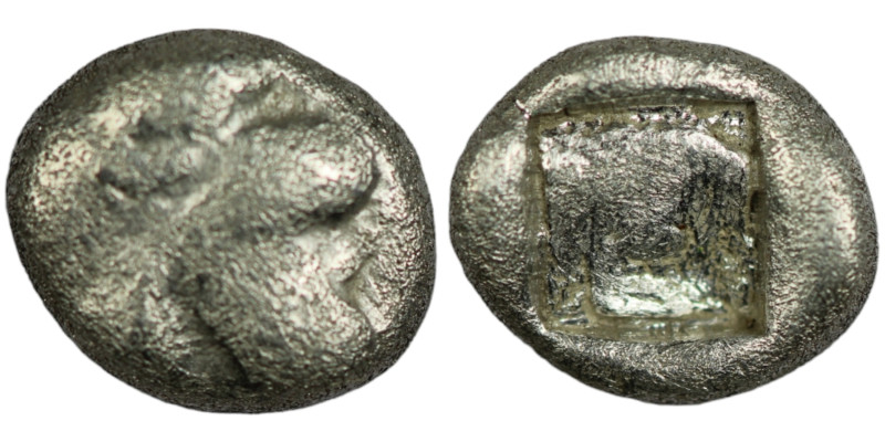 ISLANDS off CARIA. Rhodos. Kamiros. (circa 550-500 BC).
AR Obol (8mm, 0,52g)