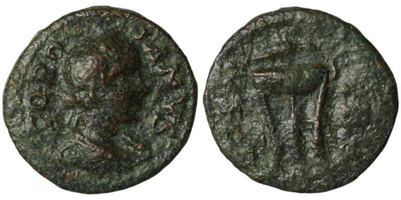 Gordianus III (AD 238 - 244)
AE Bronze (15mm, 1,96g)