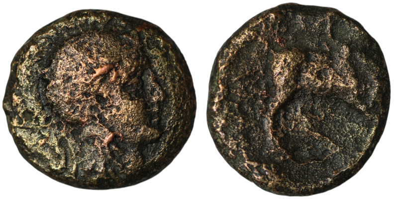 Greek coin
AE Bronze (18mm, 6,62g )