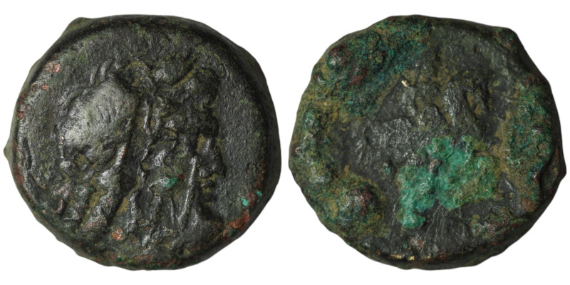 Greek coin
AE Bronze (18mm, 7,60g)