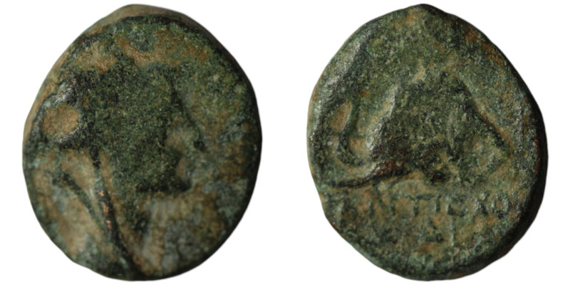 Greek coin
AE Bronze (15mm, 3,39g)