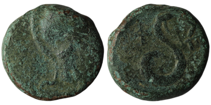 Greek coin
AE Bronze (14mm, 3,57g)