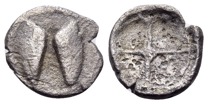 SICILY. Kamarina. Circa 480-450 BC. Litra (Silver, 9 mm, 0.58 g). Open mussel se...