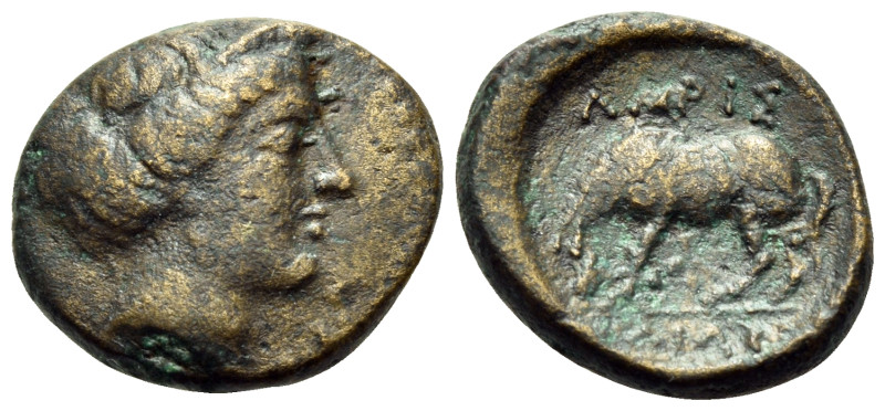 THESSALY. Larissa. Later 4th - early 3rd century BC. Chalkous (Bronze, 14 mm, 2....