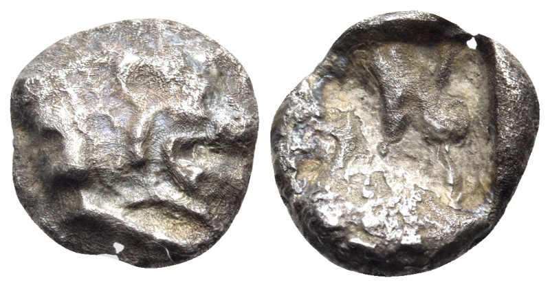 CARIA. Mylasa. Circa 520-490 BC. 1/6 Stater or Hekte (Silver, 10 mm, 1.10 g). Fo...