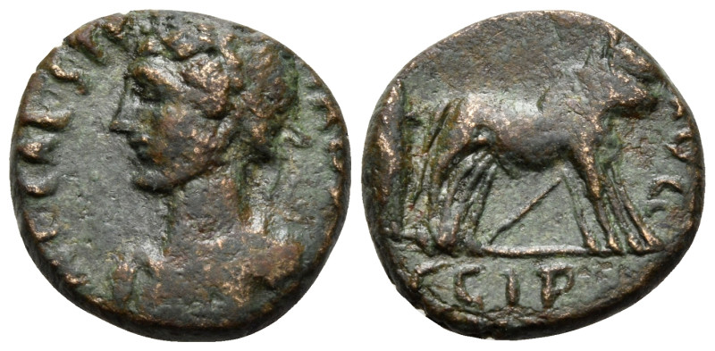 MYSIA, Coventus of Cyzicus. Parium. Hadrian, 117-138. (Bronze, 14 mm, 2.79 g, 6 ...