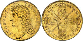 GRANDE-BRETAGNE - UNITED KINGDOM
Jacques II (1685-1688). 5 guinées, 2e buste 1688, Londres.
Av. IACOBVS. II. - DEI. GRATIA. Tête laurée à gauche. 
Rv....