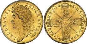 GRANDE-BRETAGNE - UNITED KINGDOM
Jacques II (1685-1688). 5 guinées, 2e buste 1688, Londres.
Av. IACOBVS. II. - DEI. GRATIA. Tête laurée à gauche. 
Rv....