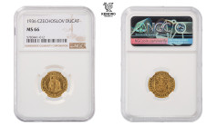 Czechoslovakia. Ducat 1936. Kremnitz. Rare!

Extraordinary specimen! NGC MS 66.

Československo. Dukát 1936. Kremnice. Vzácný!

Mimořádný exempl...