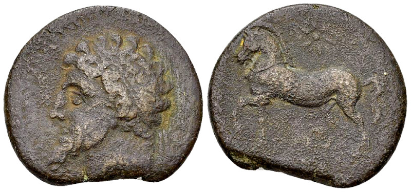 Massinissa or Micipsa AE Half Unit 

Kings of Numidia. Massinissa or Micipsa (...