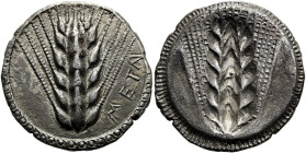 LUKANIEN. METAPONT. Didrachme ø 24mm (7.88g). 510 - 470 v. Chr. Vs.: META, Kornähre. Rs.: Kornähre incus. Noe IX, (V171 / R172); HN Italy 1482. Schöne...