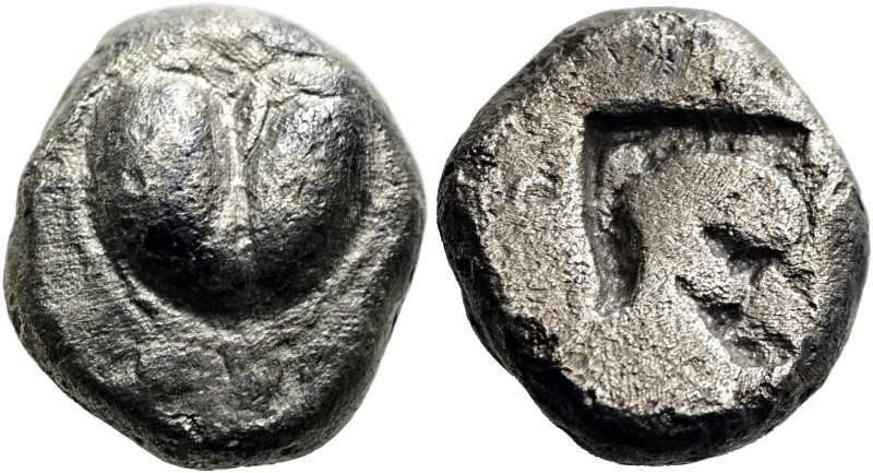 KYRENAIKA. KYRENE. Hemidrachme ø 10mm (2.03g). ca. 490 - 475 v. Chr. Vs.: Silphi...