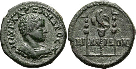 BITHYNIEN. NIKAIA. Severus Alexander als Caesar, 222 n. Chr. Assarion ø 22mm (6.16g). St. 30°. Vs.: M ΛVP AΛΕZΛΝΔΡΟC K, Büste mit Gorgonen-Panzer, von...