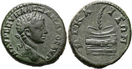 BITHYNIEN. NIKAIA. Severus Alexander, 222 - 235 n. Chr. Assarion ø 20mm (5.97g). 224 n. Chr. St. 30°. Vs.: M AVP CEVH AΛΕZΑΝΔPOC AVΓ, Kopf mit Lorbeer...