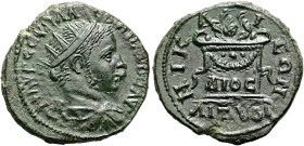 BITHYNIEN. NIKAIA. Severus Alexander, 222 - 235 n. Chr. Assarion ø 20mm (4.54g). 228 - 231 n. Chr. St. 180°. Vs.: M AVP CEVH AΛ-EZANΔPOC AVΓ (VΓ ligie...