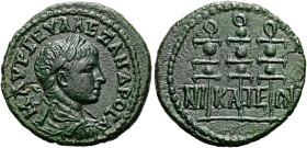 BITHYNIEN. NIKAIA. Severus Alexander, 222 - 235 n. Chr. Assarion ø 20mm (4.18g). 228 - 231 n. Chr. St. 45°. Vs.: M AVP CEY AΛΕZΑΝΔPOC A, Büste mit Pan...