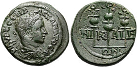 BITHYNIEN. NIKAIA. Severus Alexander, 222 - 235 n. Chr. Assarion ø 20mm (4.99g). 228 - 231 n. Chr. St. 30°. Vs.: M AVP CEVH A-ΛΕΞΑΝΔΡΟA, Büste mit Pan...