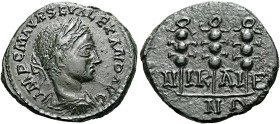 BITHYNIEN. NIKAIA. Severus Alexander, 222 - 235 n. Chr. Assarion ø 19mm (3.69g). 228 - 231 n. Chr. St. 180°. Vs.: IMP C M AVR SEV ALEXAND AVG, Büste m...