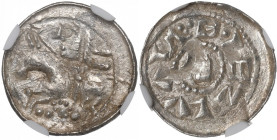 Boleslaus II, Denarius R3