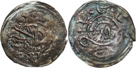 Bolesław IV Kędzierzawy (1146-73), Kraków, denar, PTAK i głowa - RZADKI R3/RR