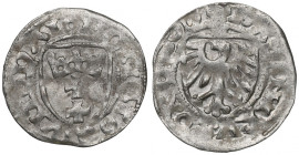 Casimir IV Jagellon, Schilling without date, Danzig